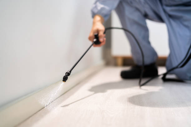Licensed Termite Control service in Fortville, IN - Nex Pest Control