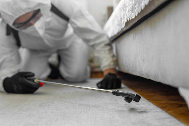 Professional Termite Control technician working in Fortville, IN