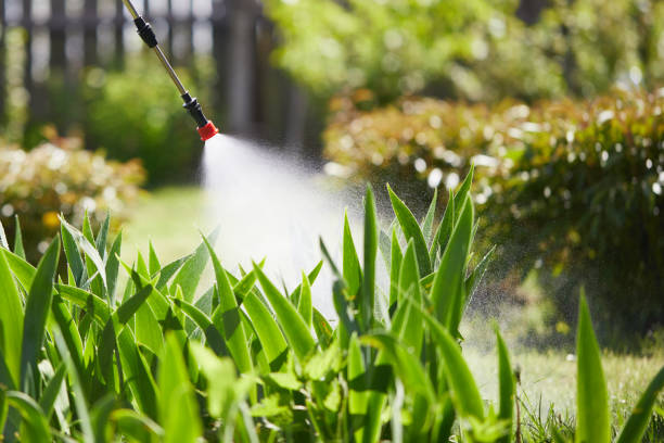 24/7 Emergency Termite Control experts in Fortville, IN