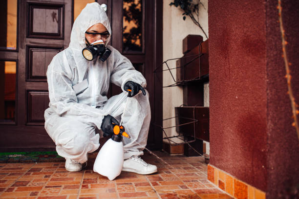 Reliable Termite Control contractor in Fortville, IN by Nex Pest Control